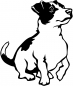 Preview: Aufkleber Jack Russell Terrier