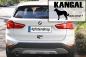 Preview: Aufkleber "Kangal ...was sonst?"