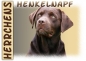 Preview: Fototasse Labrador Herrchen/Frauchen