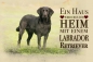Preview: Metallschild Labrador