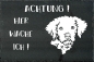 Preview: Schieferplatte Lagotto Romagnolo