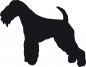 Preview: Lakeland Terrier stehend Silhouette