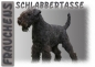 Preview: Fototasse Lakeland Terrier