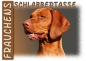 Preview: Fototasse Magyar Vizsla Herrchen/Frauchen