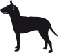 Preview: Manchester Terrier stehend Silhouette