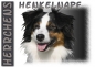 Preview: Fototasse Miniature Australian Shepherd (Mini-Aussie) Herrchen/Frauchen