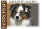 Preview: Fototasse Miniature Australian Shepherd (Mini-Aussie) Herrchen/Frauchen