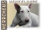 Preview: Fototasse Miniature Bullterrier Herrchen/Frauchen