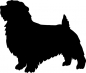 Preview: Norfolk Terrier stehend Silhouette