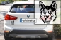 Preview: Autoaufkleber "Norwegischer Lundehund" Kopf