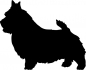 Preview: Norwich Terrier stehend Silhouette