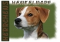 Preview: Fototasse Parson Russell Terrier Herrchen/Frauchen