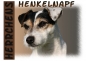 Preview: Fototasse Parson Russell Terrier Herrchen/Frauchen