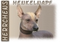 Preview: Fototasse Peruanischer Nackthund
