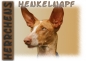 Preview: Fototasse Podenco Herrchen/Frauchen