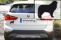 Preview: Autoaufkleber Pyrenäenberghund stehend Silhouette