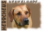 Preview: Fototasse Rhodesian Ridgeback Herrchen/Frauchen