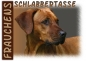 Preview: Fototasse Rhodesian Ridgeback Herrchen/Frauchen