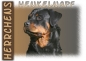 Preview: Fototasse Rottweiler