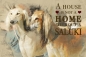 Preview: Nostalgieschild - Hundeschild im Retrostil Motiv: Saluki (Persischer Windhund) #1