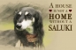 Preview: Nostalgieschild - Hundeschild im Retrostil Motiv: Saluki (Persischer Windhund) #2