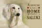 Preview: Nostalgieschild - Hundeschild im Retrostil Motiv: Saluki (Persischer Windhund) #4