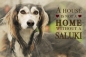 Preview: Nostalgieschild - Hundeschild im Retrostil Motiv: Saluki (Persischer Windhund) #5