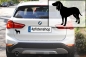 Preview: Autoaufkleber Schwyzer Laufhund stehend Silhouette
