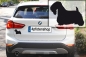 Preview: Autoaufkleber Sealyham Terrier stehend Silhouette