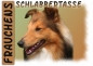 Preview: Fototasse Sheltie