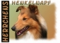 Preview: Fototasse Sheltie (Shetland Sheepdog) Herrchen/Frauchen