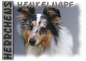 Preview: Fototasse Sheltie (Shetland Sheepdog) Herrchen/Frauchen