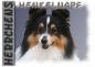 Preview: Fototasse Sheltie (Shetland Sheepdog) Herrchen/Frauchen