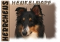 Preview: Fototasse Sheltie (Shetland Sheepdog) Herrchen/Frauchen