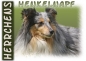 Preview: Fototasse Sheltie