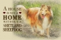 Preview: Nostalgieschild - Hundeschild im Retrostil Motiv: Sheltie (Shetland Sheepdog) #1