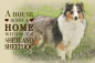 Preview: Nostalgieschild - Hundeschild im Retrostil Motiv: Sheltie (Shetland Sheepdog) #2