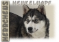 Preview: Fototasse Siberian Husky Herrchen/Frauchen