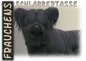 Preview: Fototasse Skye Terrier