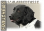 Preview: Fototasse Friesischer Vorstehhund