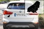 Preview: Autoaufkleber Sussex Spaniel sitzend Silhouette