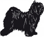 Preview: Tibet Terrier stehend Silhouette