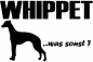 Preview: Aufkleber "Whippet ...was sonst?"