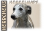 Preview: Fototasse Whippet Herrchen/Frauchen