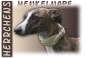 Preview: Fototasse Whippet Herrchen/Frauchen