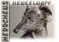 Preview: Fototasse Whippet (Langhaar Whippet) Herrchen/Frauchen