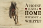 Preview: Nostalgieschild - Hundeschild im Retrostil Motiv: Whippet #2