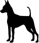 Preview: Zwergpinscher stehend Silhouette