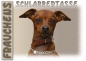 Preview: Fototasse Zwergpinscher Herrchen/Frauchen