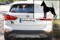 Preview: Autoaufkleber Zwergpinscher stehend Silhouette